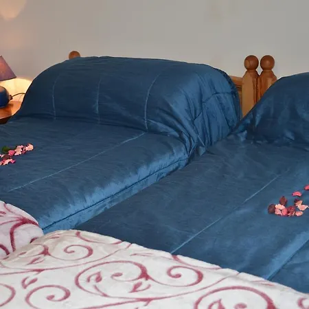 Appartamento Casa Vacanze Primule